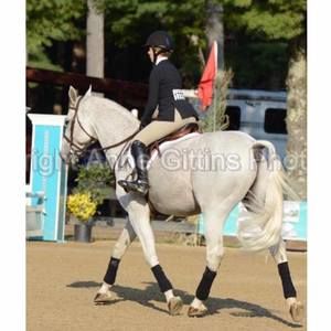 Meet your Posher, Gianna